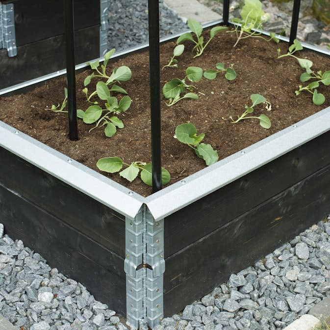 Snigelkant Flexigarden till Odlingslåda i Trä