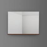 Spegel 4AQUA Med Hylla