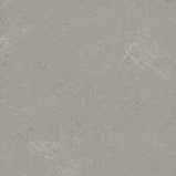 Linoleum