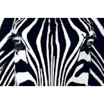 Tapet Idealdecor Giant Art Black & White I