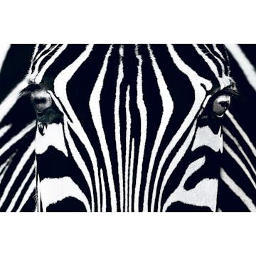 Tapet Idealdecor Giant Art Black & White I