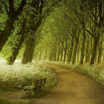 Tapet Idealdecor Non-Woven A Seat not Taken