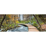 Tapet Idealdecor Path into the Forest