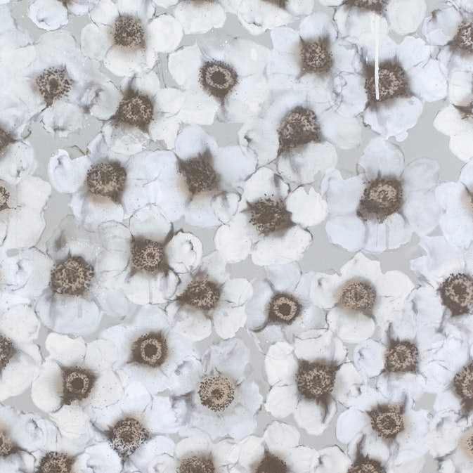 Tapet Mimou Windflower Grå