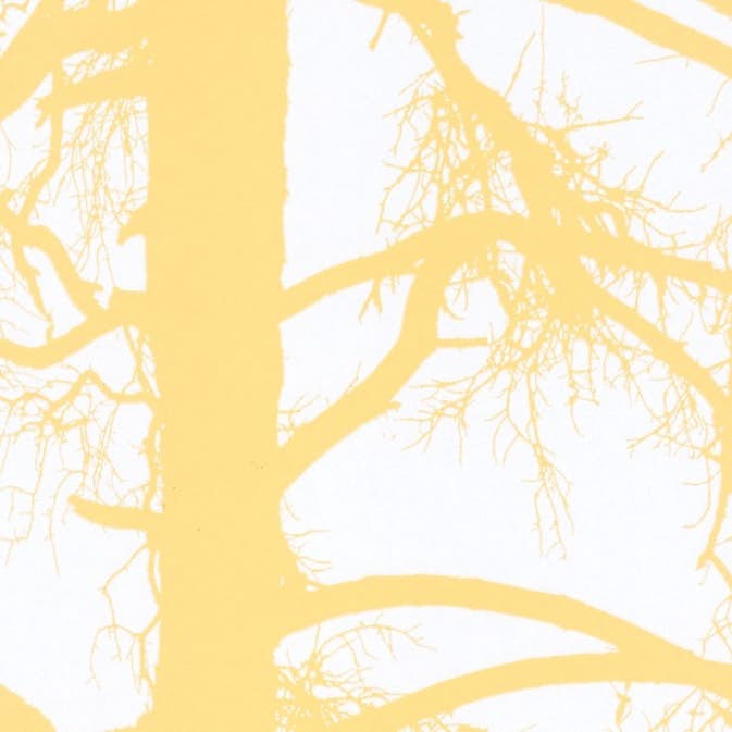 Tapet Paintpart Vallila Kompassi 4985-3