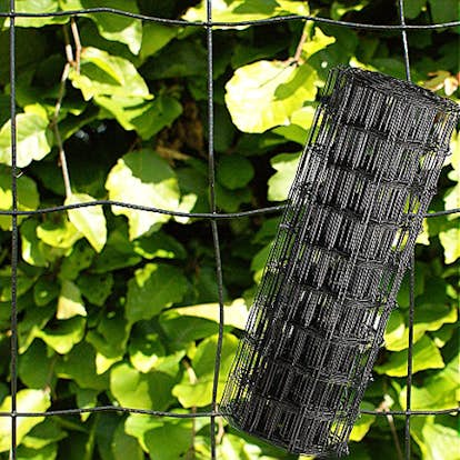 Trädgårdsstängsel NSH Maskstorlek 10 x 10 cm Svart
