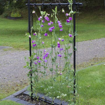 Ramspaljé Flexigarden