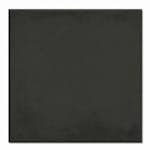 Klinker Tenfors 1900 Svart 20x20 cm