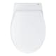 Vägghängd Toalettstol Grohe Bau Ceramic 39427 Komplett