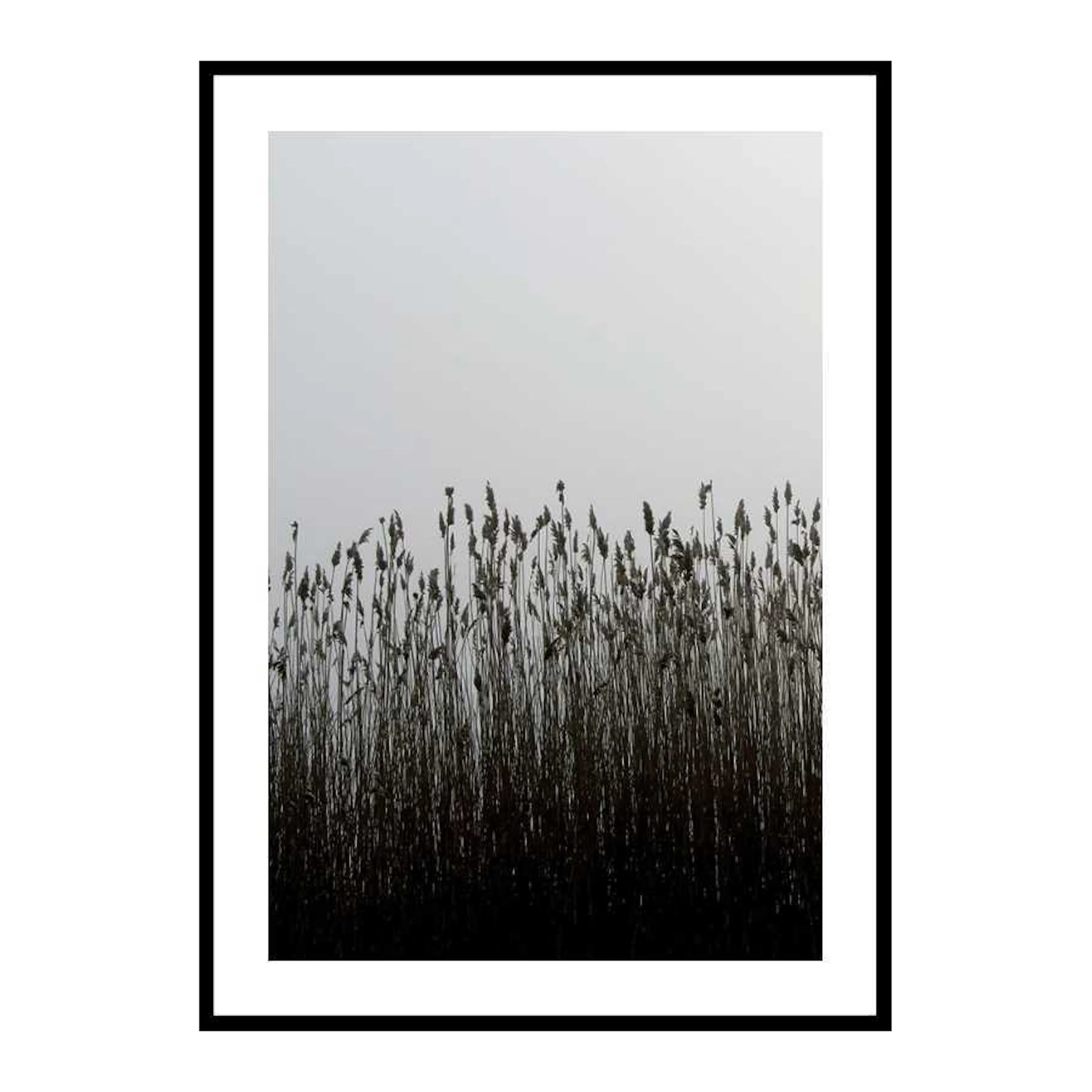 Finest Reed 30x40 cm