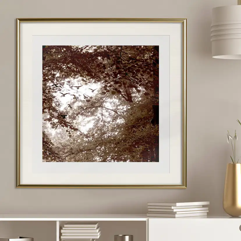 Poster Artgeist Affisch Freedom