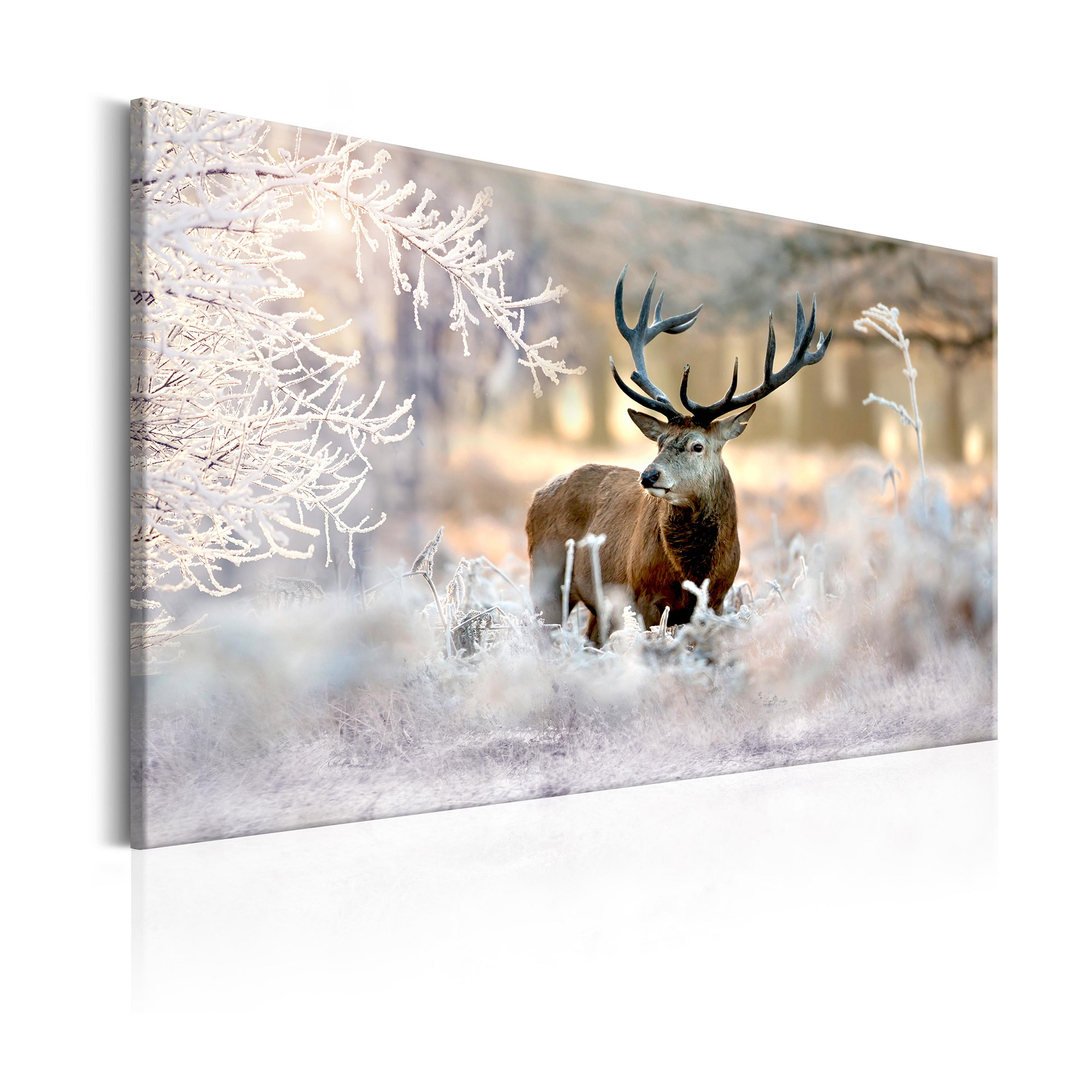 Tavla Arkiio Deer In The Cold