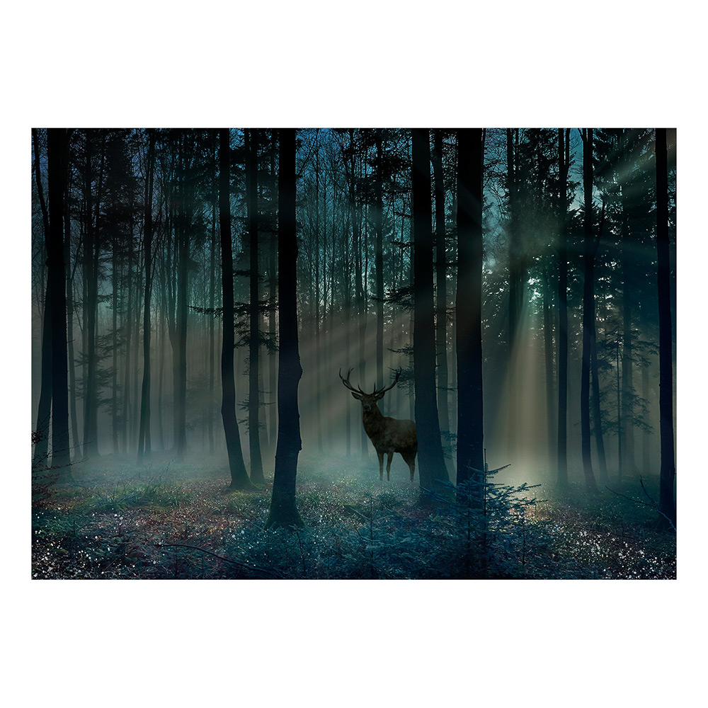 Fototapet Arkiio Mystical Forest - Third Variant