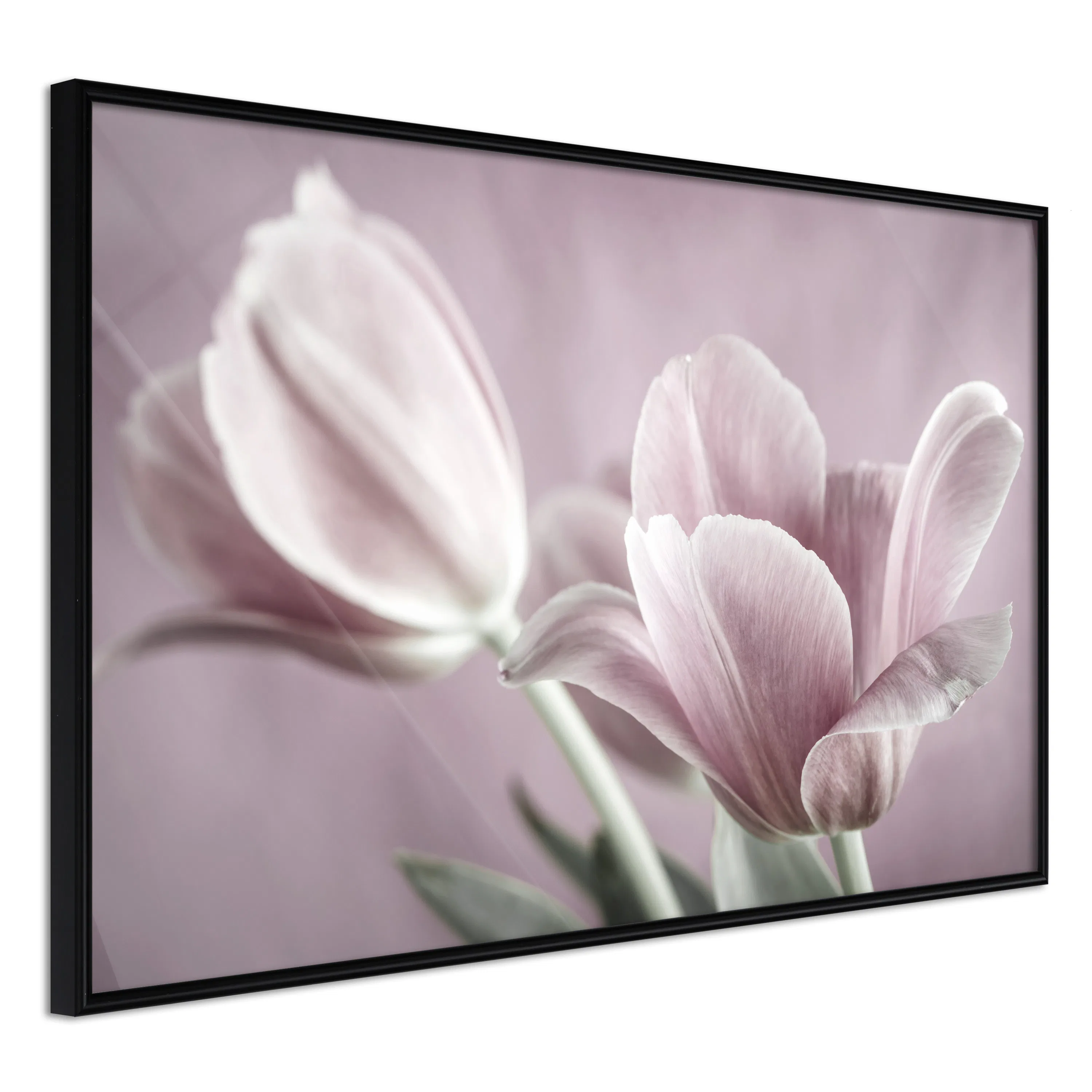 Poster Artgeist Affisch Pink Tulips