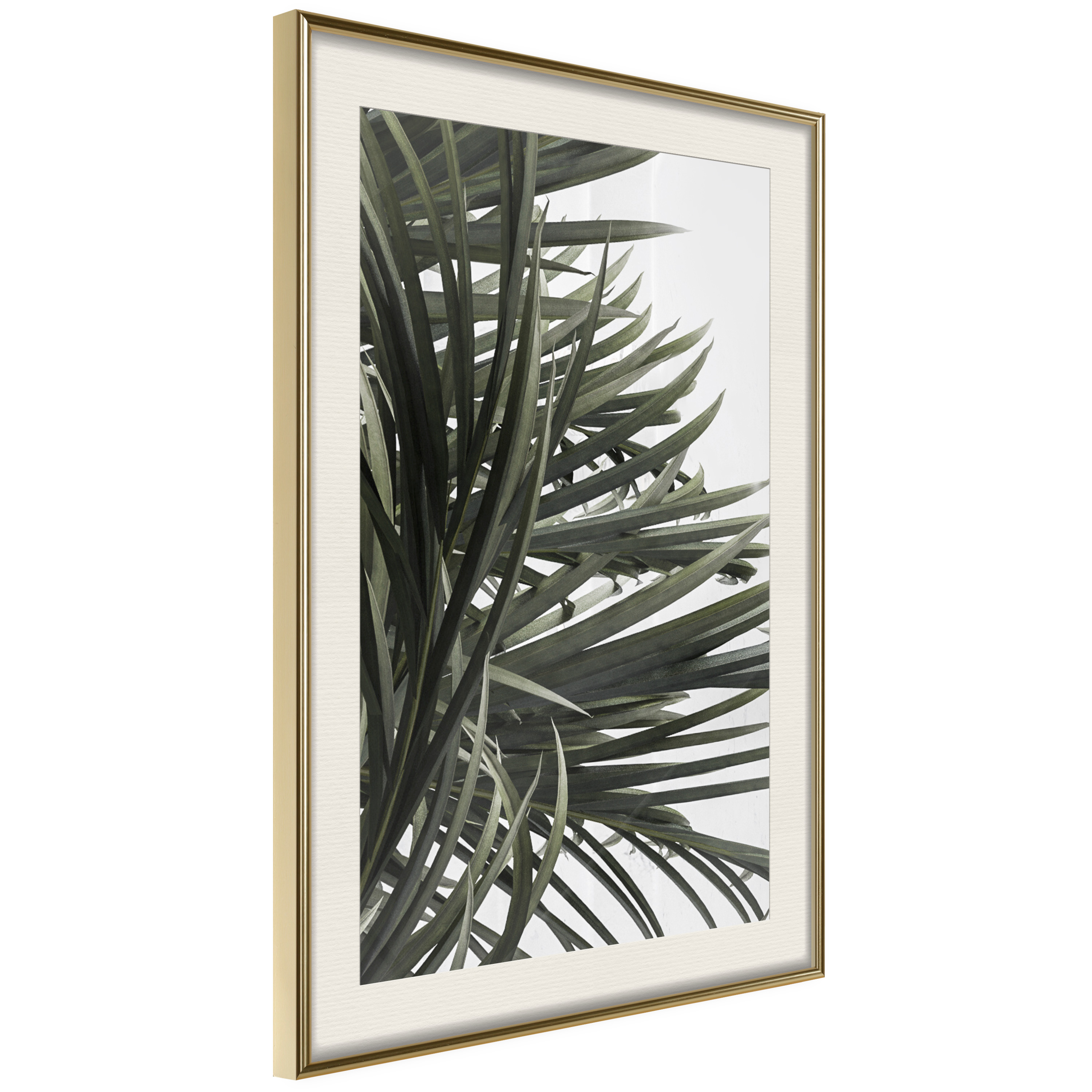 Affisch - In the Shade of Palm Trees [Poster] 20x30 Guld ram med passepartout, 20x30 cm