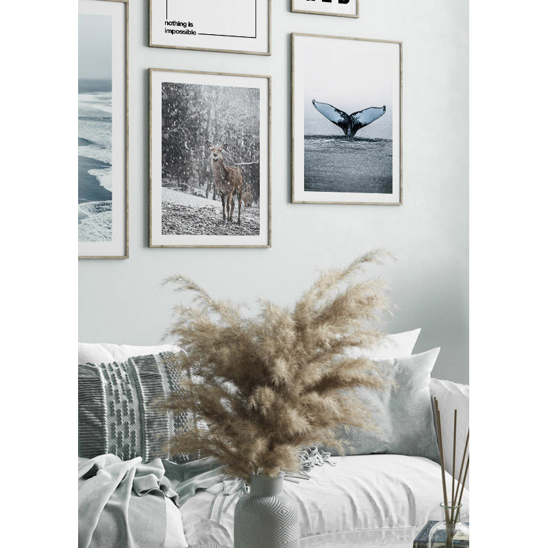 Poster Gallerix Humpback Whale