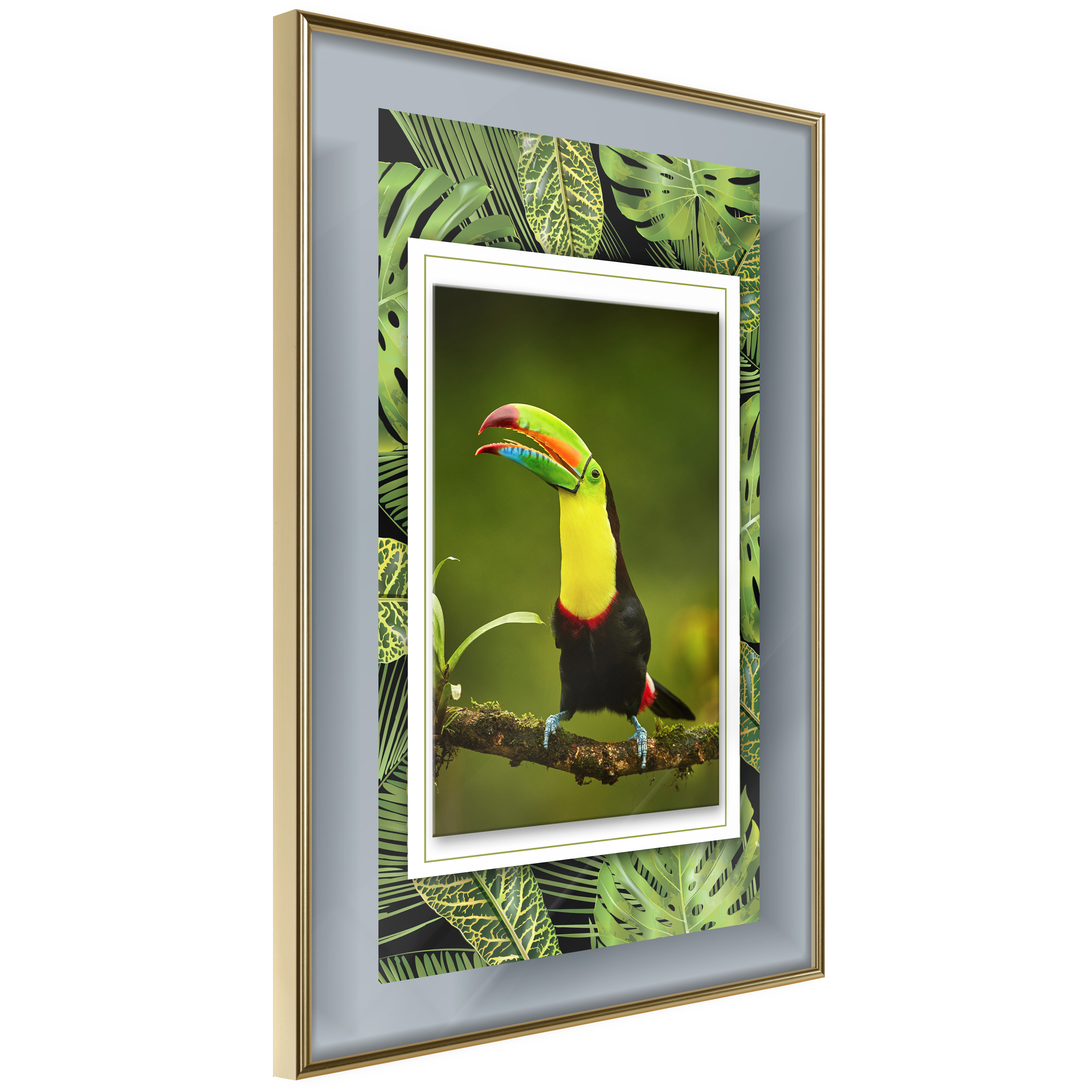 Affisch - Toucan [Poster] 30x45 Guld ram, 30x45 cm