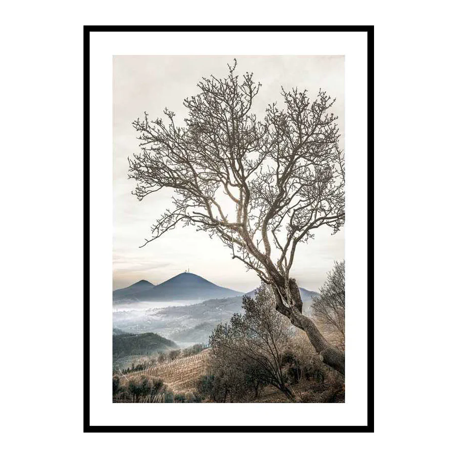 Poster Gallerix Lonely Tree Against Sky