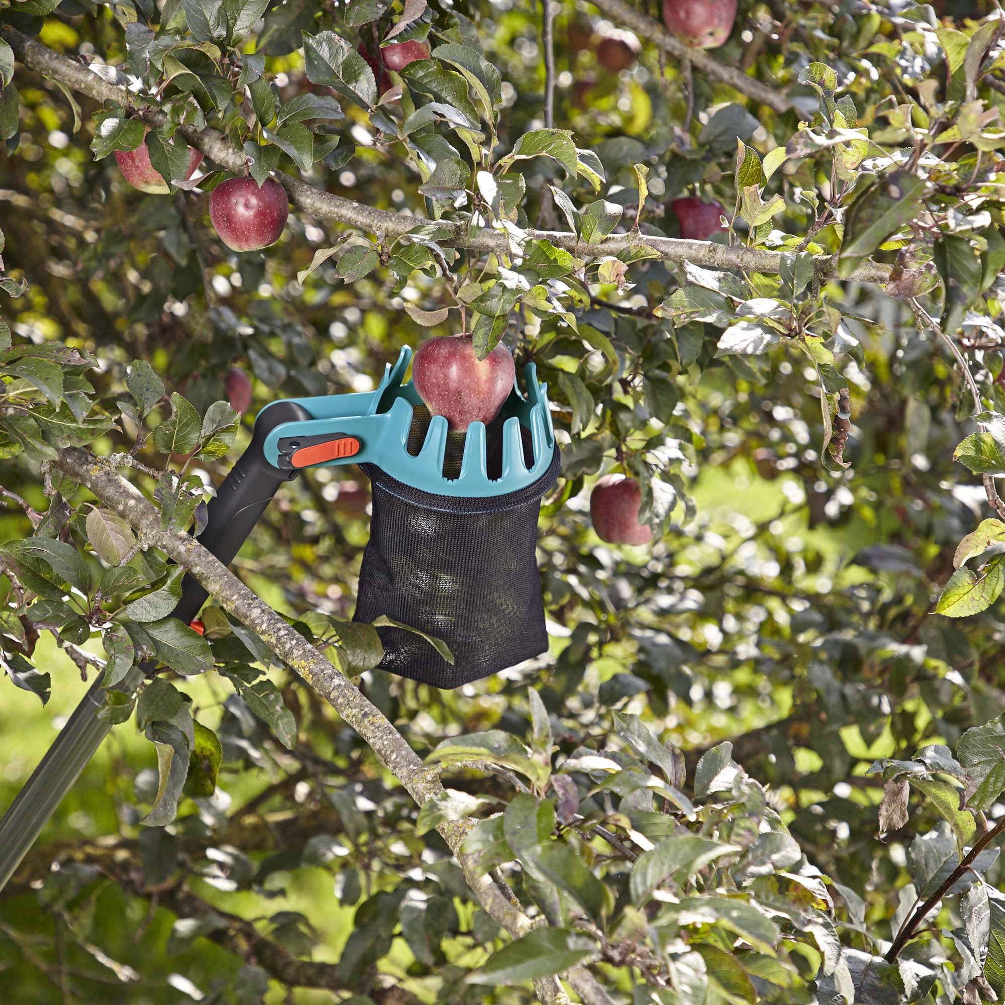 Combipaket Gardena Fruktuppsamlare & Fruktplockare Med Skaft