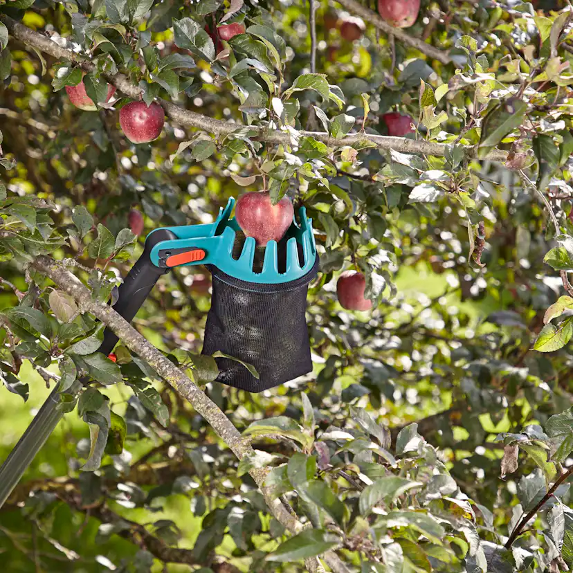 Combipaket Gardena Fruktuppsamlare & Fruktplockare Med Skaft