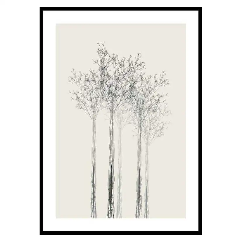 Poster Gallerix Sketched Trees