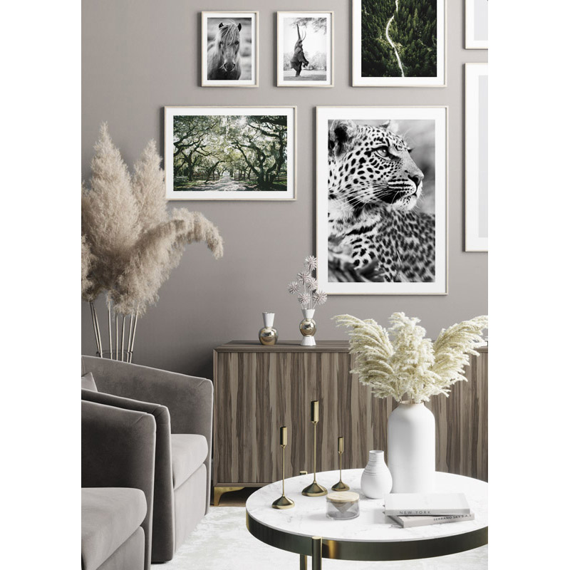 Poster Gallerix Canopy Of Trees