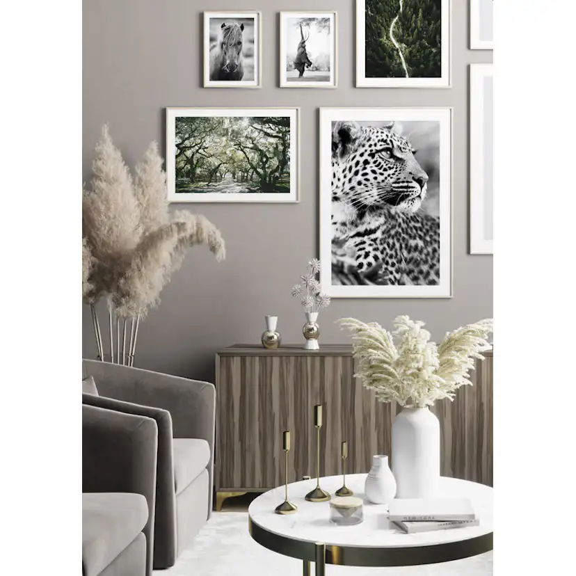 Poster Gallerix Canopy Of Trees