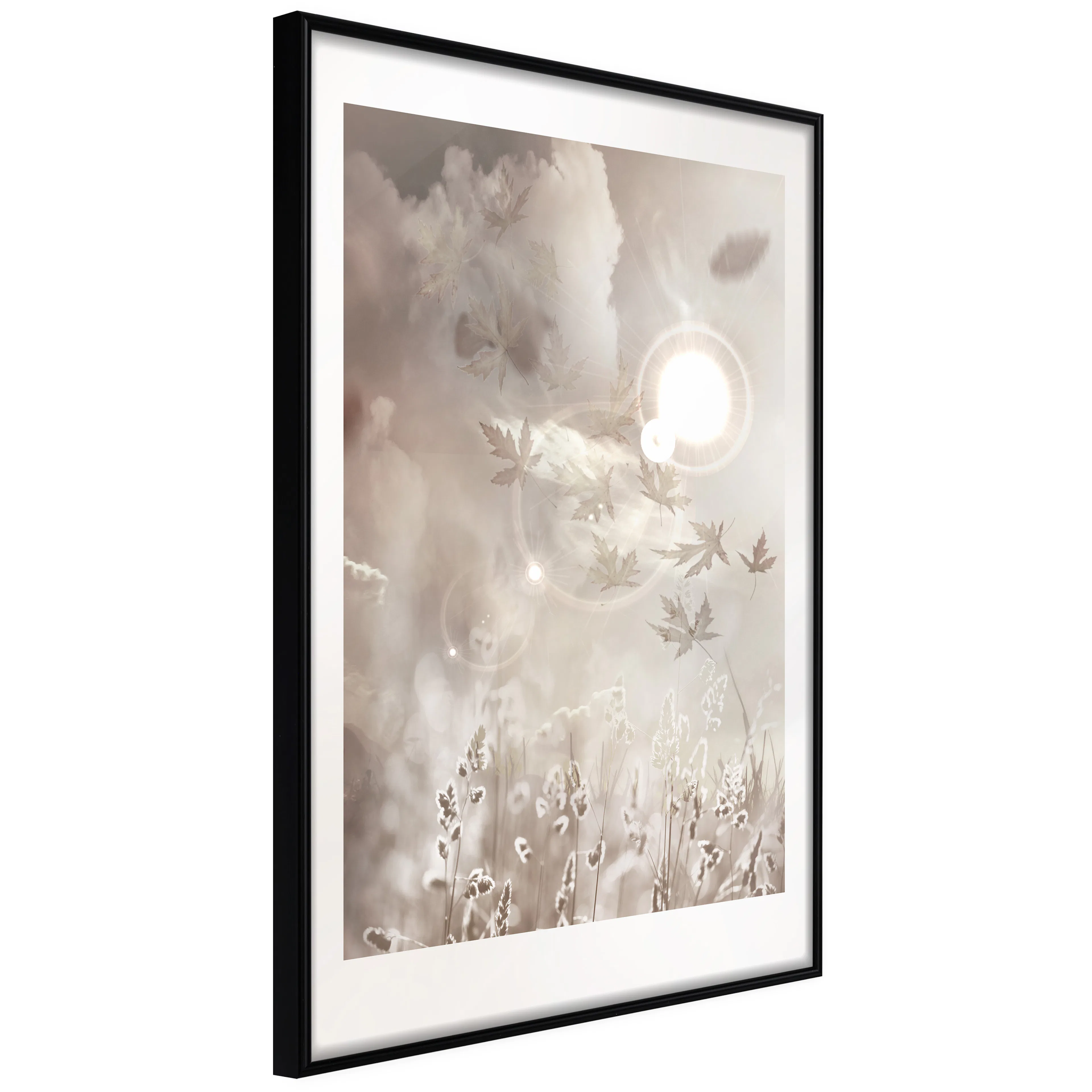 Affisch - Flare [Poster] 40x60 Svart ram, 40x60 cm