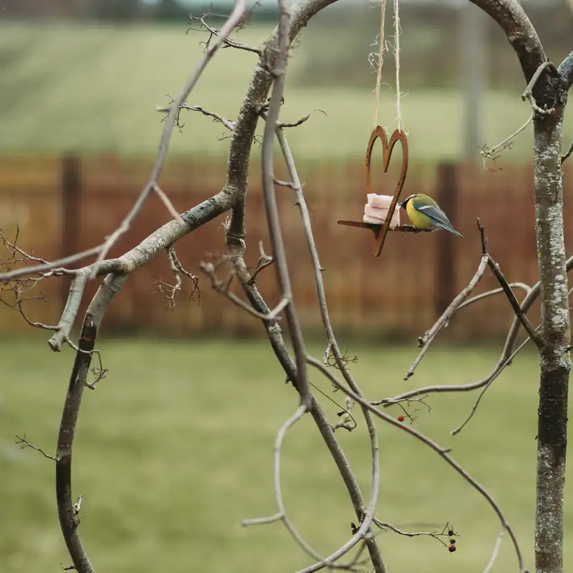 Fågelmatare GrillSymbol Petteri Wiimaa Heart