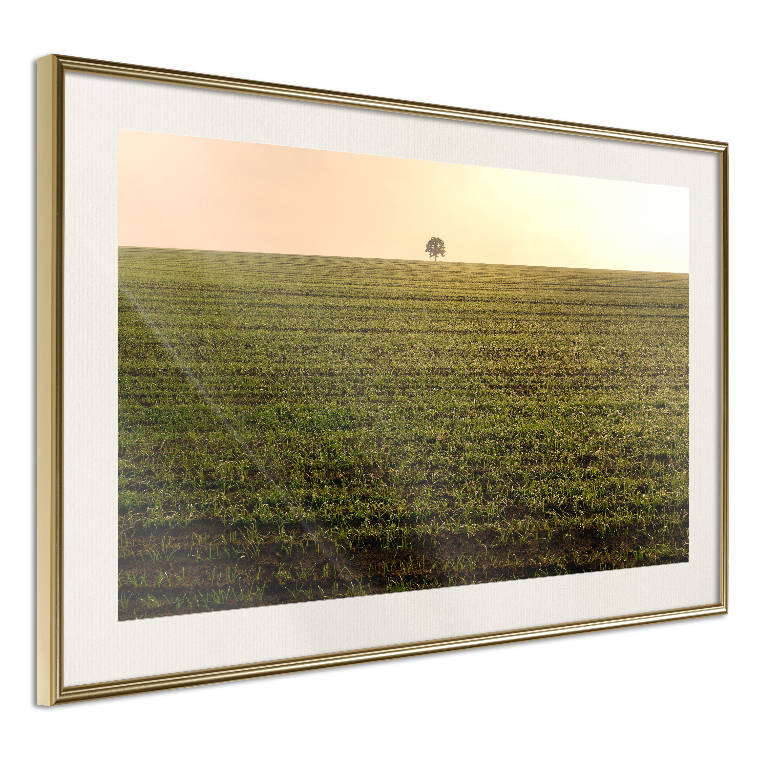 Poster Artgeist Affisch Autumn Morning
