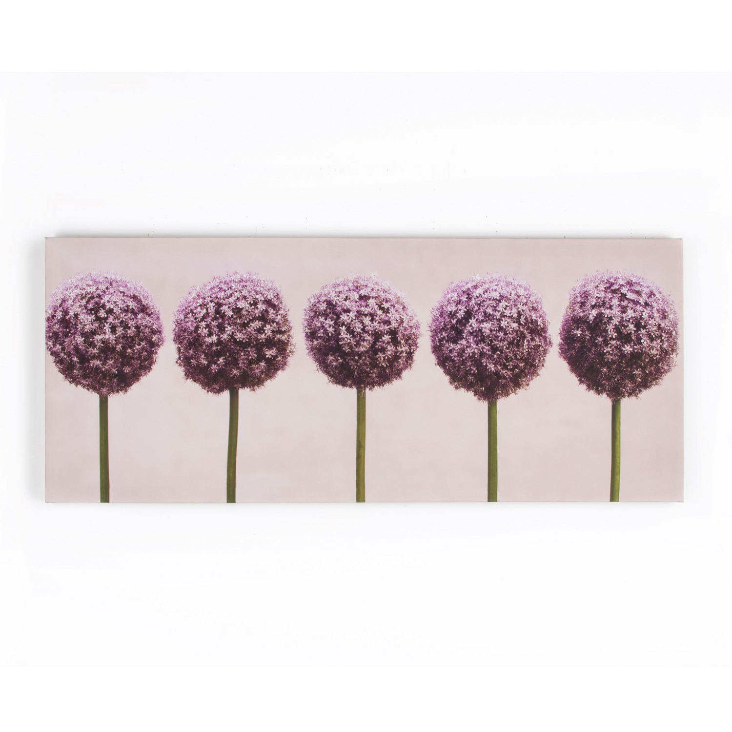 Tavla Art for the Home Alliums In A Row