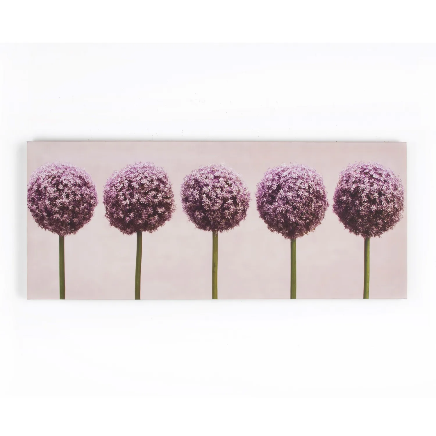 Tavla Art for the Home Alliums In A Row