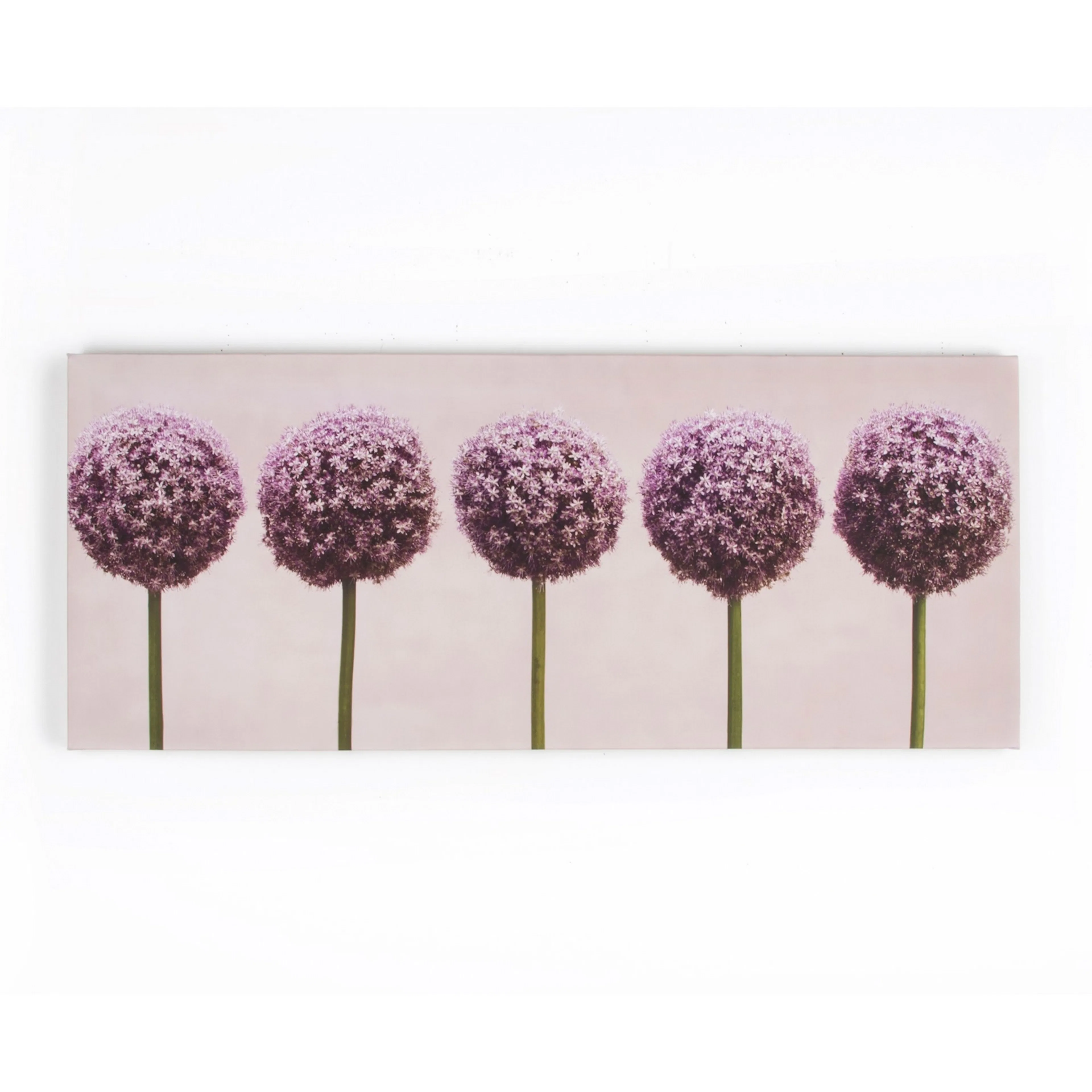 Tavla Art for the Home Alliums In A Row