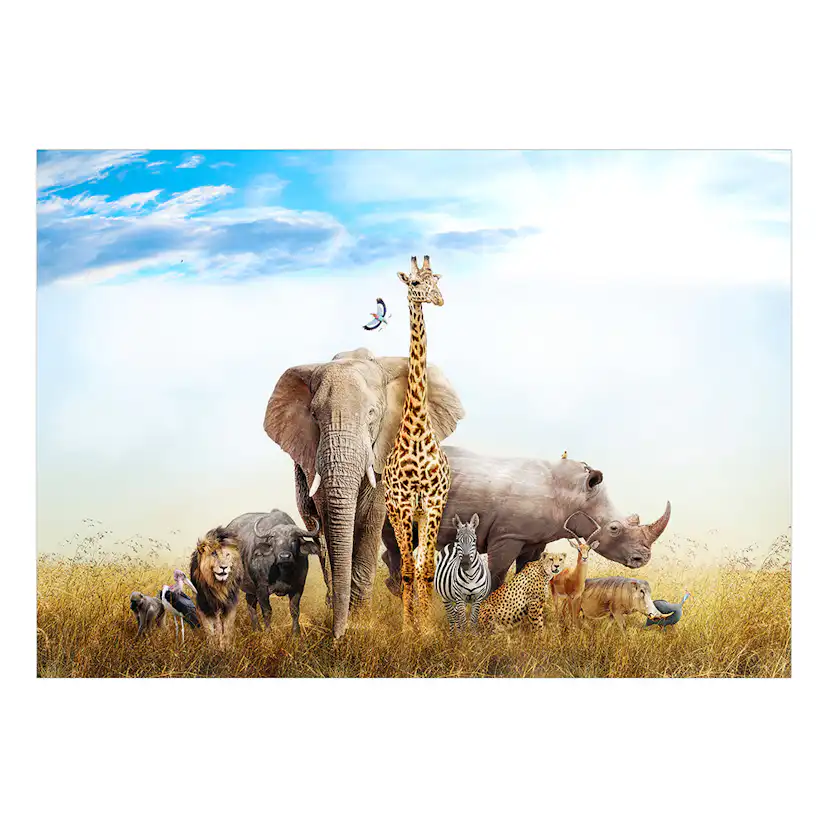 Fototapet Arkiio Fauna of Africa Självhäftande