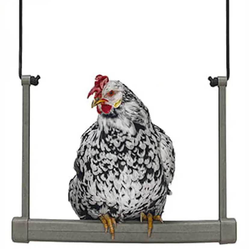 Hönsgunga Ryom Plast