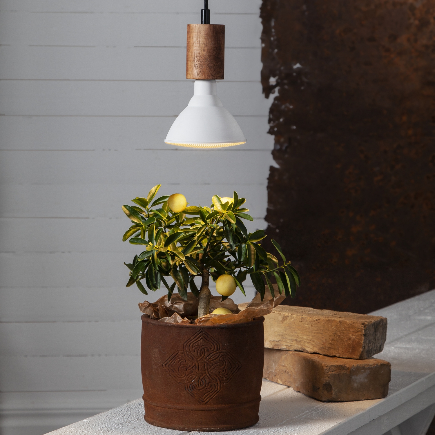 LED-lampa Star Trading E27 PAR38 Plant Light Varmvit