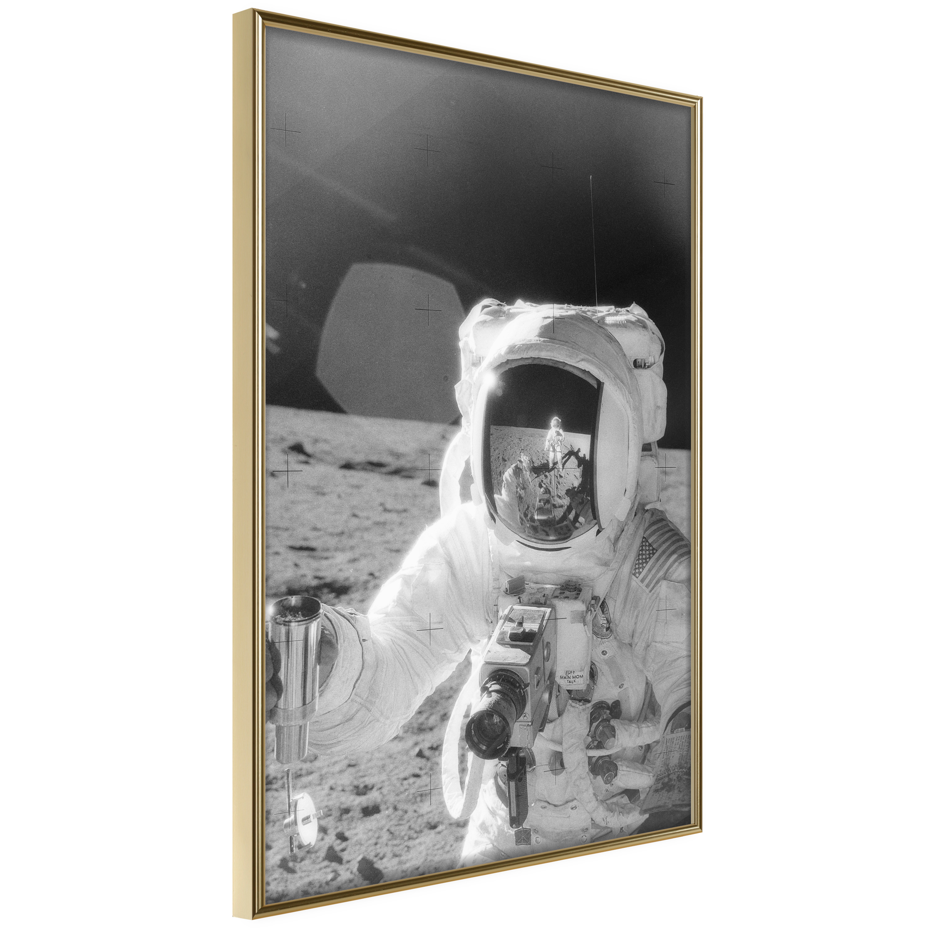 Poster Artgeist Affisch Profession of Astronaut