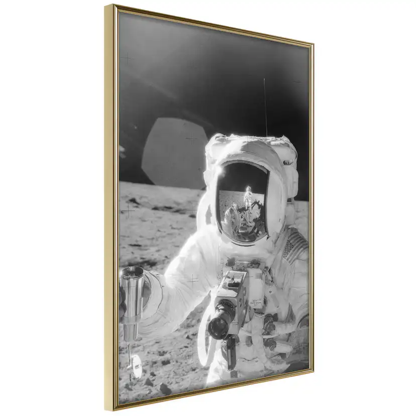 Poster Artgeist Affisch Profession of Astronaut