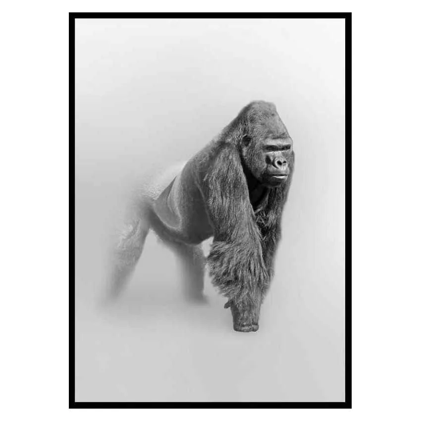 Poster Gallerix Faded Gorilla