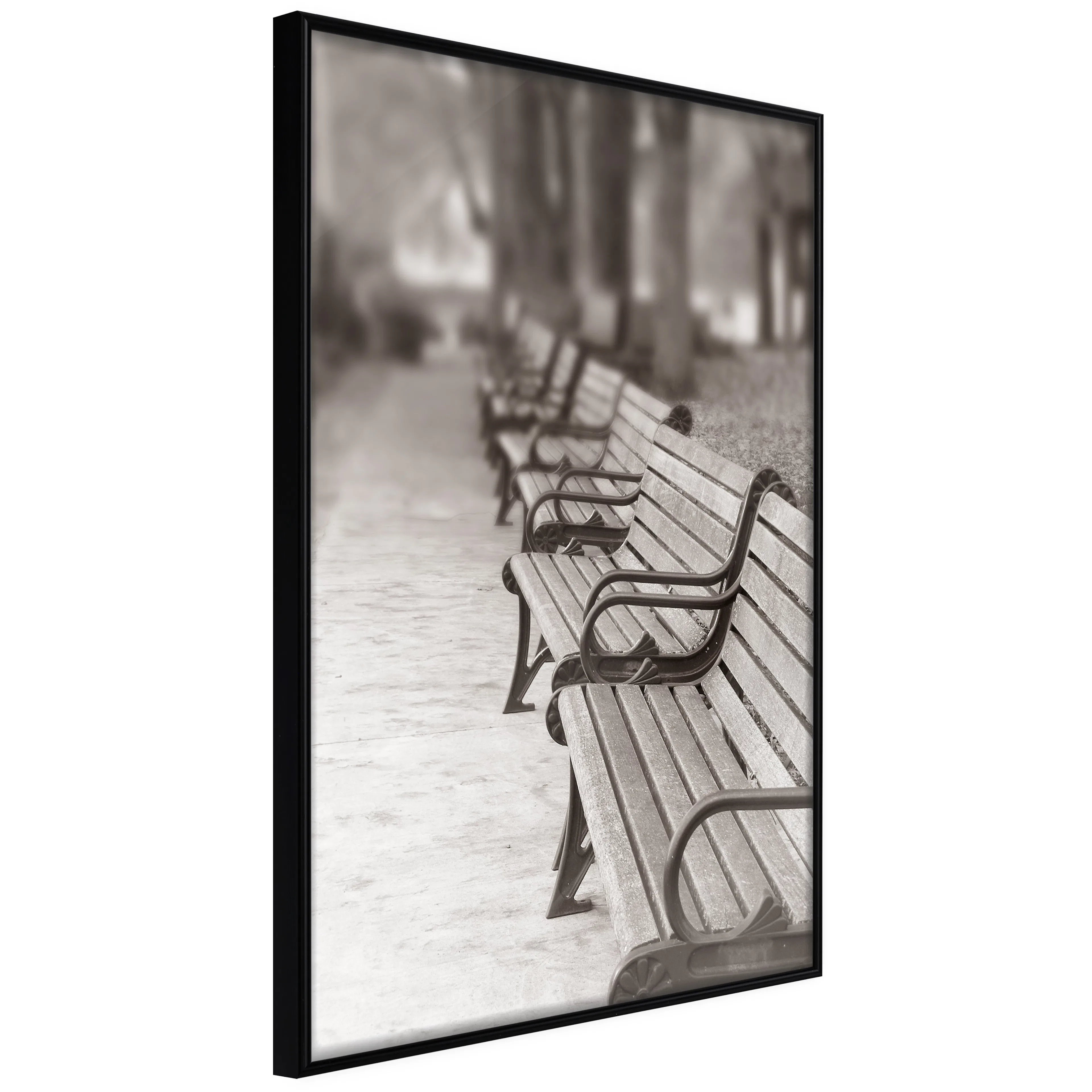 Affisch - Park Benches [Poster] 40x60 Svart ram, 40x60 cm