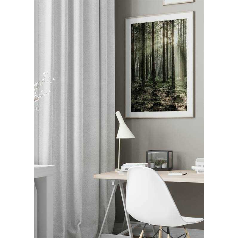 Sunbeam Forest 21x30 cm