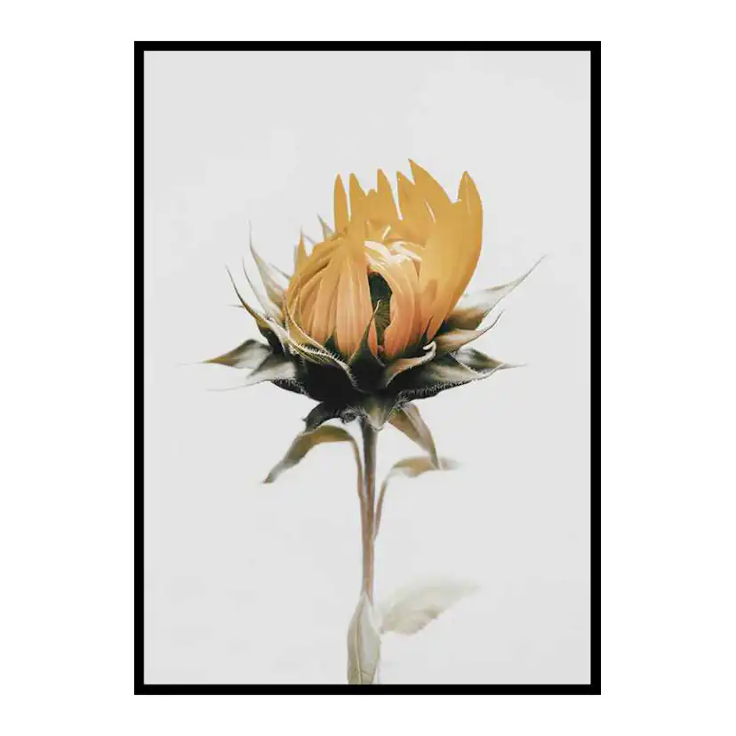 Poster Gallerix Yellow Sunflower