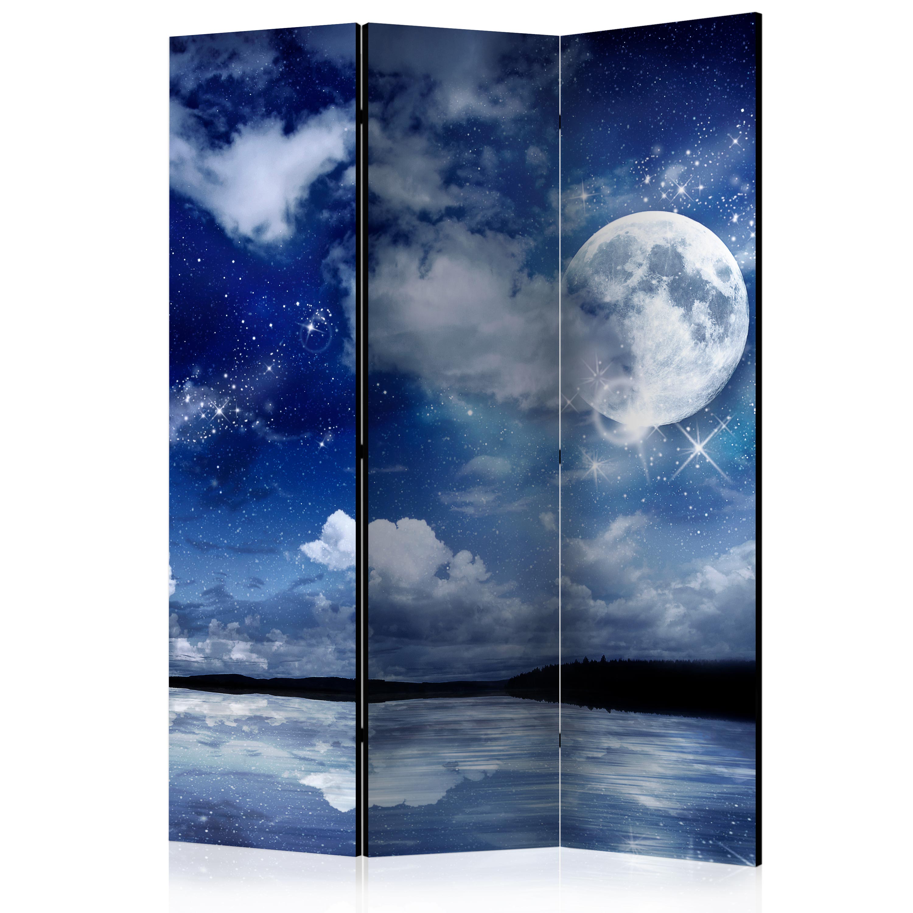 Rumsavdelare Arkiio Magic Night 135x172 cm