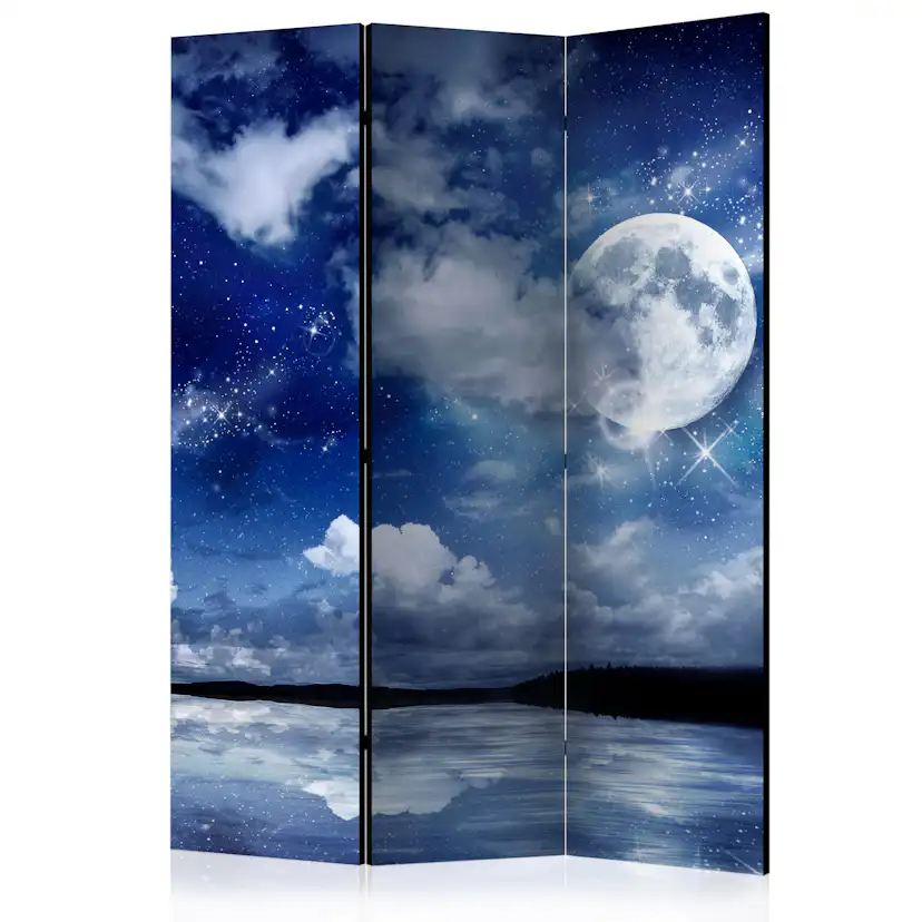 Rumsavdelare Arkiio Magic Night 135x172 cm