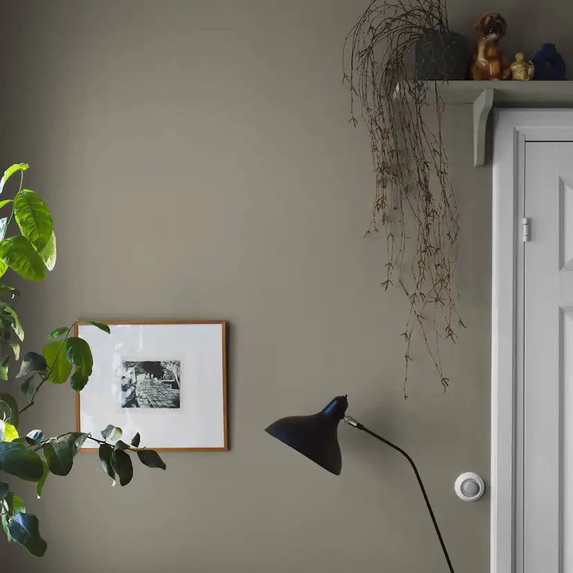 Tapet Boråstapeter Light Olive 7558