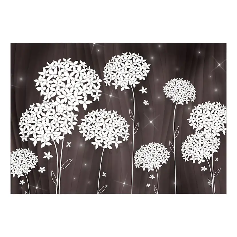 Självhäftande fototapet - Magical Composition 147x105 Storlek: 147x105 cm