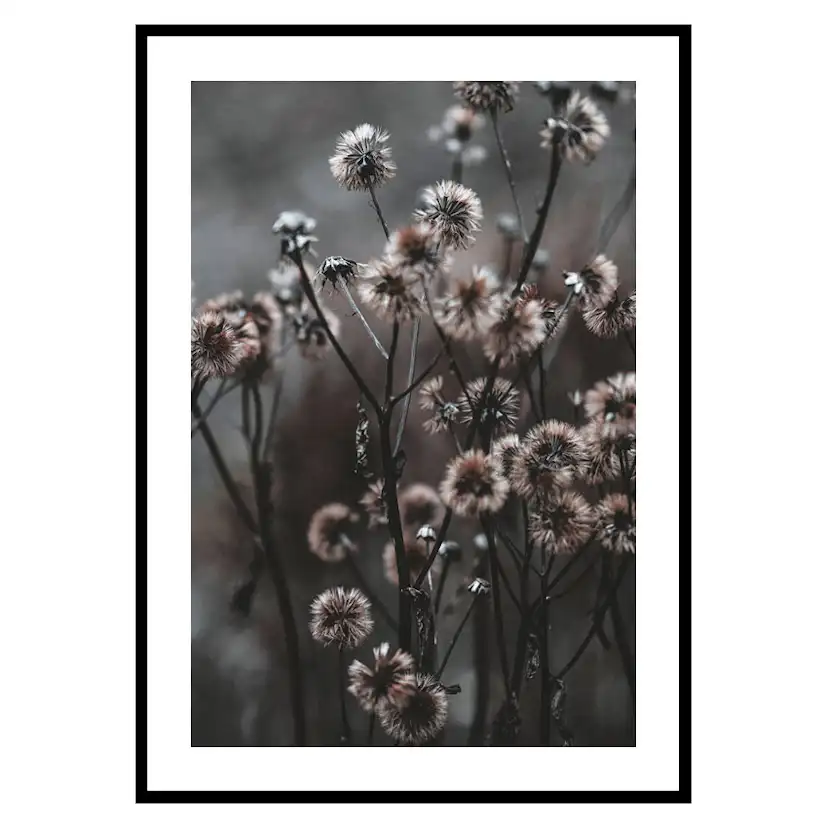 Poster Gallerix Forest Flowers