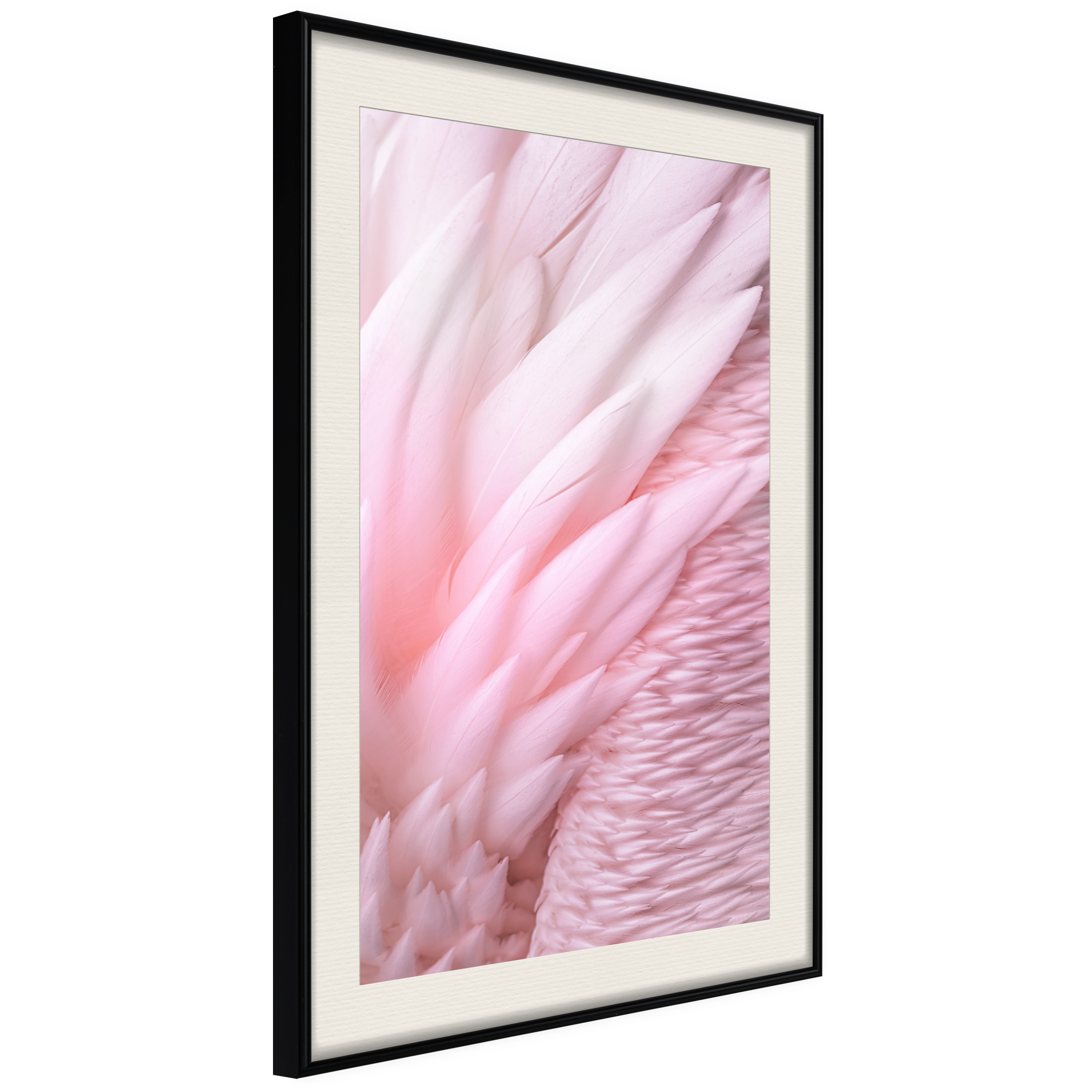 Affisch - Feathers [Poster] 40x60 Svart ram med passepartout, 40x60 cm