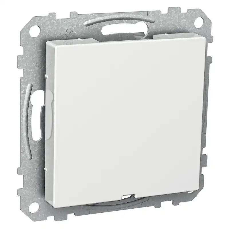 Centrumplatta Schneider Electric Exxact