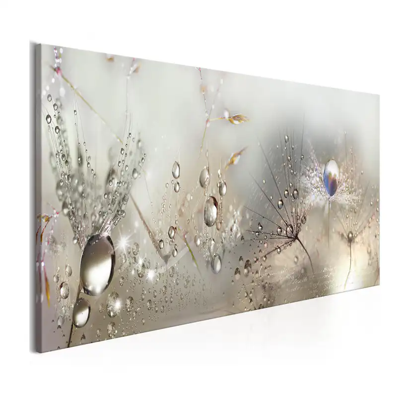 Tavla Arkiio Morning Song